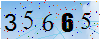 驗證碼為35665