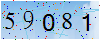 驗證碼為59081