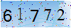 驗證碼為61772