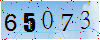 驗證碼為65073